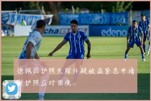 德佩因护照失踪怀疑被盗紧急申请新护照应对困境