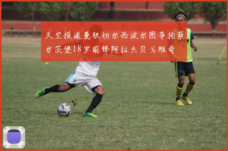 天空报道曼联切尔西波尔图争抢萨尔茨堡18岁前锋阿拉杰贝戈维奇